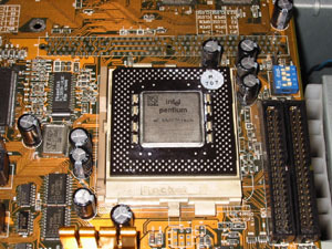 p55c.jpg